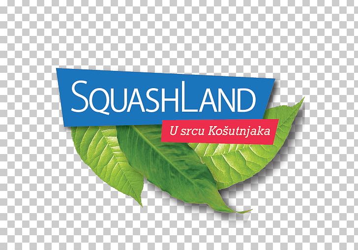 SquashLand Sport Vitorovic 0 PNG, Clipart, Belgrade, Brand, Game, Herbal, Leaf Free PNG Download