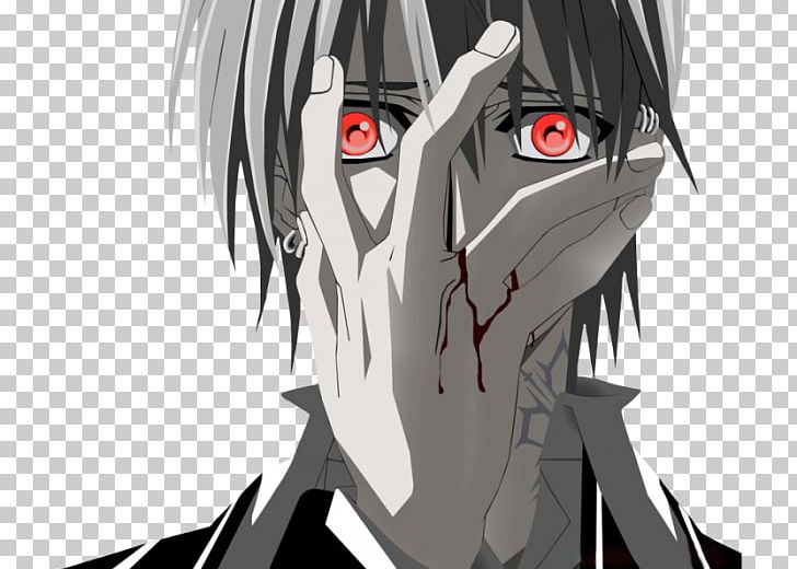 Zero Kiryu[Vampire Knight] | Anime Guy Profiles~ | Quotev
