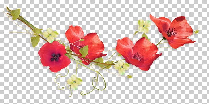 Common Poppy Portable Network Graphics Digital Flower PNG, Clipart, Artificial Flower, Blog, Blossom, Common Poppy, Cut Flowers Free PNG Download