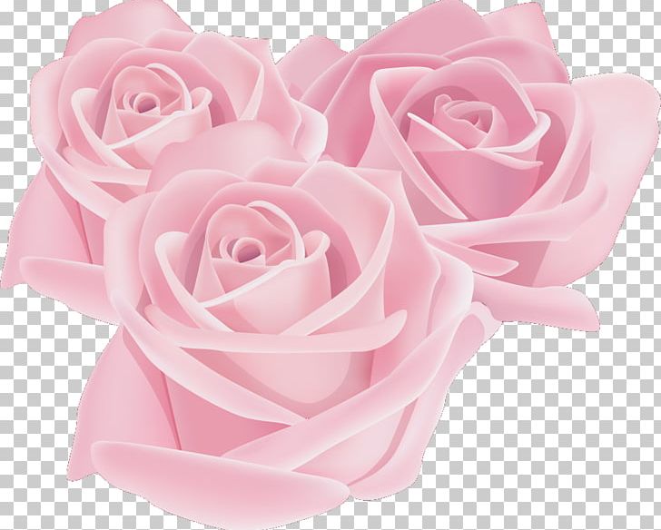 Garden Roses Flower Beach Rose PNG, Clipart, Artificial Flower, Beach Rose, Cut Flowers, Drawing, Floral Design Free PNG Download