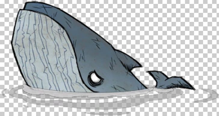 Blue Whale Portable Network Graphics Whales Wiki PNG, Clipart, Automotive Design, Blue Whale, Cetaceans, Desktop Wallpaper, Download Free PNG Download