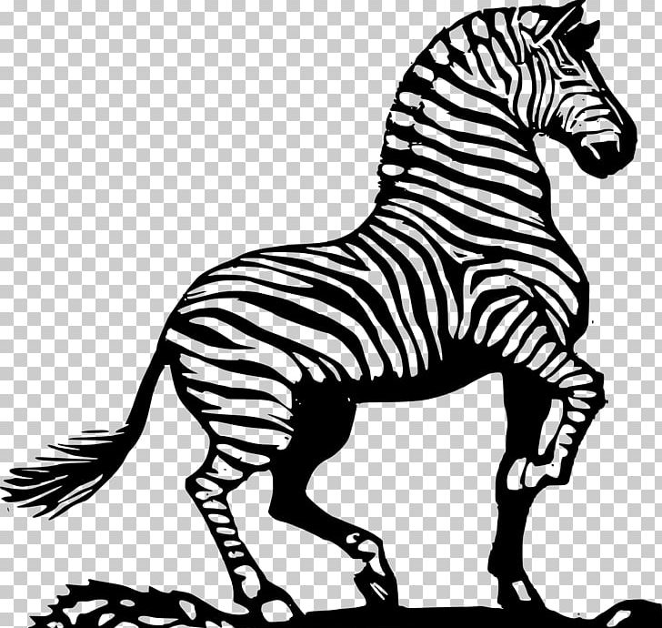 Horse Zebra Drawing PNG, Clipart, Animal Figure, Animals, Black And White, Download, Drawing Free PNG Download