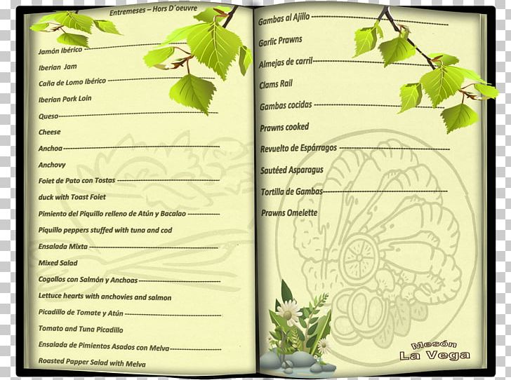 Leaf Plant Stem Flower Tree Font PNG, Clipart, Cenes De La Vega, Flora, Flower, Green, Leaf Free PNG Download