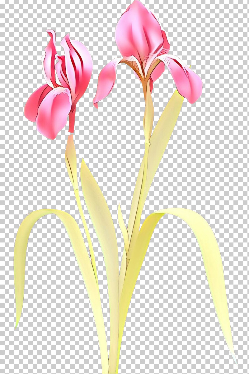 Artificial Flower PNG, Clipart, Anthurium, Artificial Flower, Cut Flowers, Flower, Iris Free PNG Download