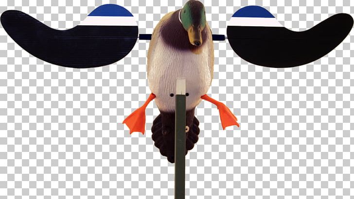 Mallard Duck Decoy Duck Decoy Hunting PNG, Clipart,  Free PNG Download
