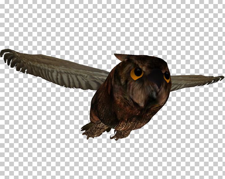 Owl Beak Feather PNG, Clipart, Animals, Beak, Beware, Bird, Death Free PNG Download
