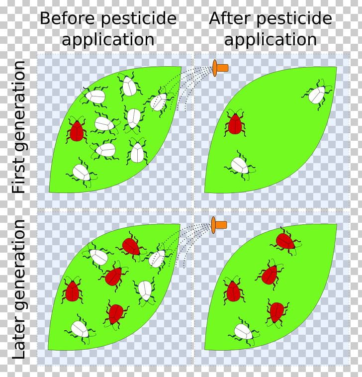 Insecticide Pesticide Resistance PNG, Clipart, Agriculture, Animals, Area, Biology, Diagram Free PNG Download
