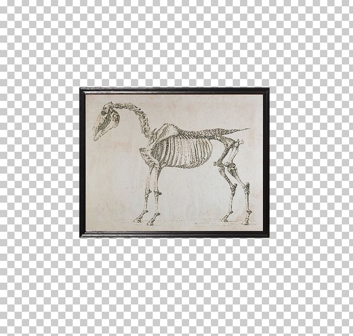 Skeleton Skeletal System Of The Horse The Lion PNG, Clipart, Animal, Drawing, Fantasy, Fauna, Furniture Free PNG Download