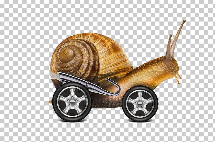 Snail Internet PNG, Clipart, Animals, Car, Car Accident, Car Parts, Car Repair Free PNG Download