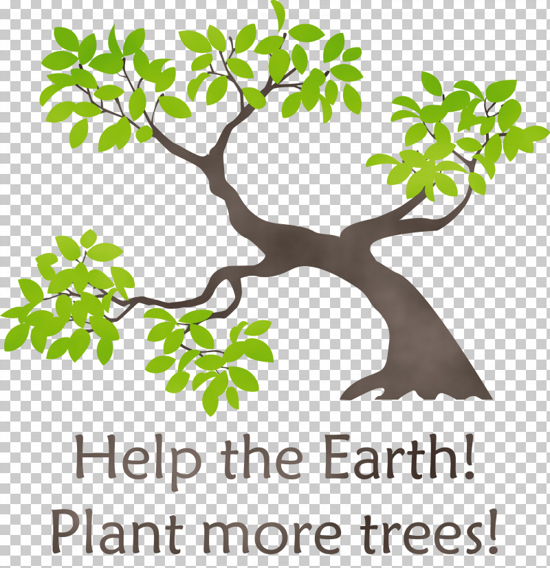 Picture Frame PNG, Clipart, Arbor Day, Branch, Broadleaved Tree, Cyclobalanopsis, Earth Free PNG Download