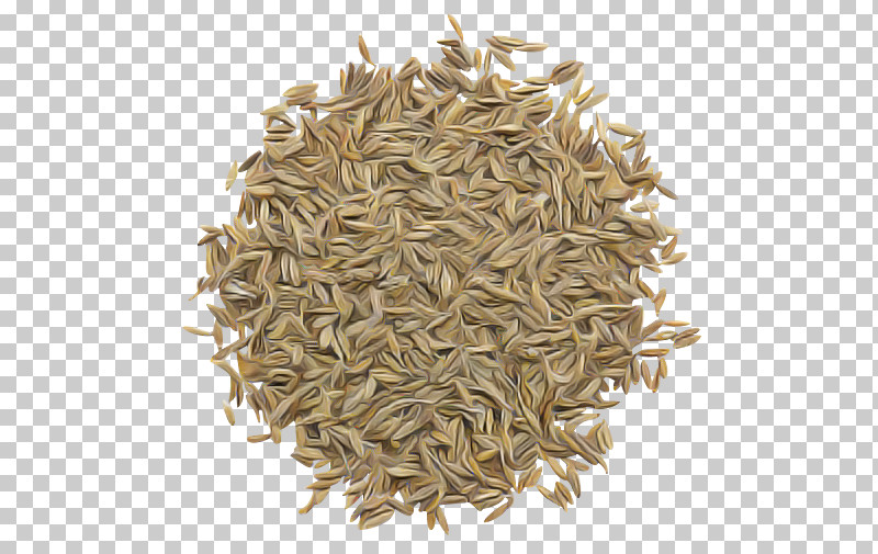 Plant Cumin Parsley Family Food Seed PNG, Clipart, Cumin, Food, Parsley Family, Plant, Seed Free PNG Download