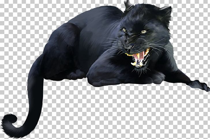 Black Cat Black Panther Bombay Cat Dog Kitten PNG, Clipart, Animal, Big Cat, Big Cats, Black Cat, Black Panther Free PNG Download