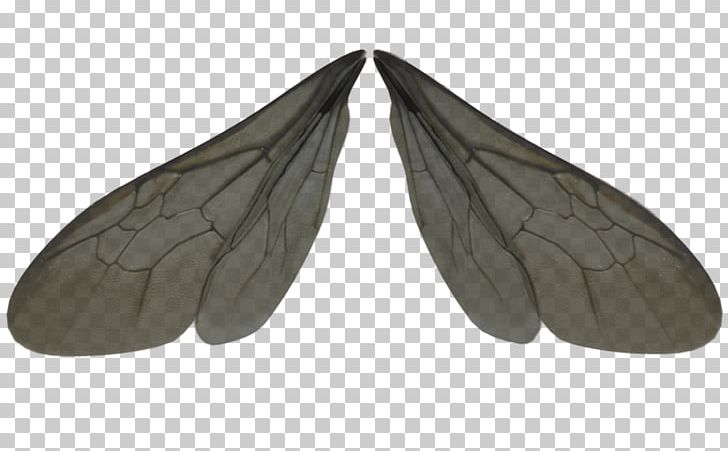 dragonfly wings clipart