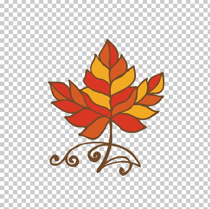 Maple Leaf Illustration PNG, Clipart, Designer, Download, Flower, Flowering Plant, Google Images Free PNG Download