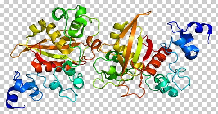 Notch 2 Notch Signaling Pathway Gene Notch Proteins DLL3 PNG, Clipart, Alagille Syndrome, Autosome, Dll3, Food, Gene Free PNG Download