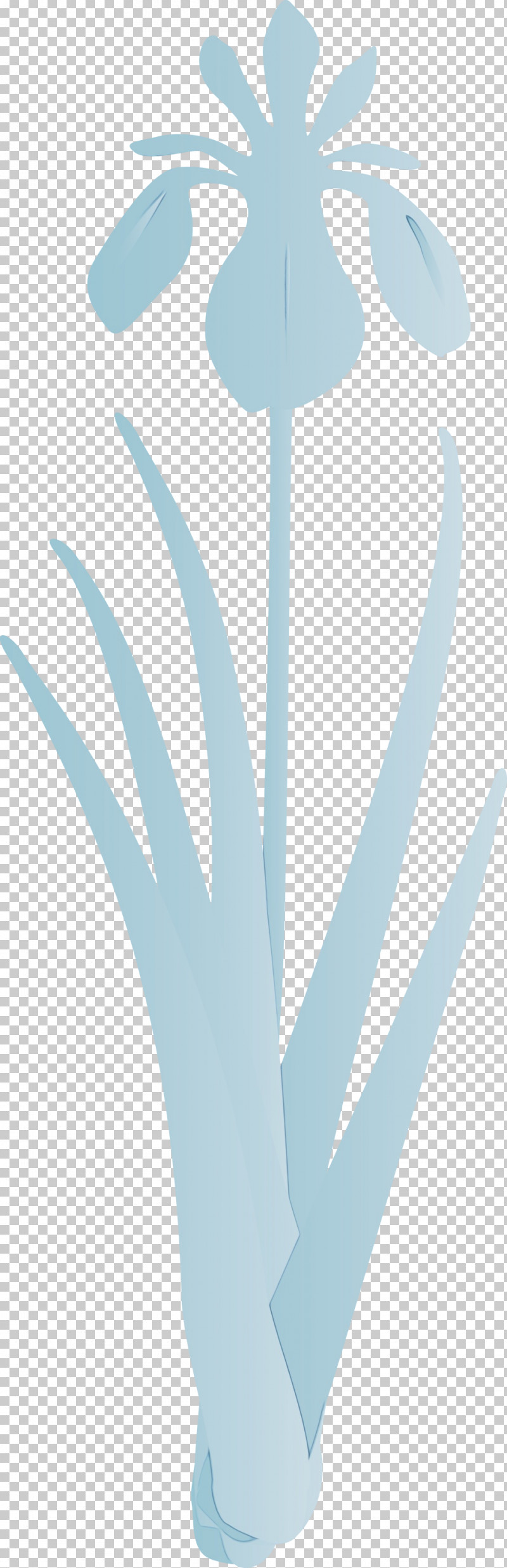 Turquoise Leaf Aqua Plant Flower PNG, Clipart, Aqua, Flower, Iris Flower, Leaf, Paint Free PNG Download