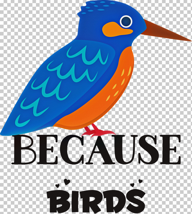 Because Birds Bird Animal PNG, Clipart, Animal, Beak, Bird, Birds, Geometry Free PNG Download