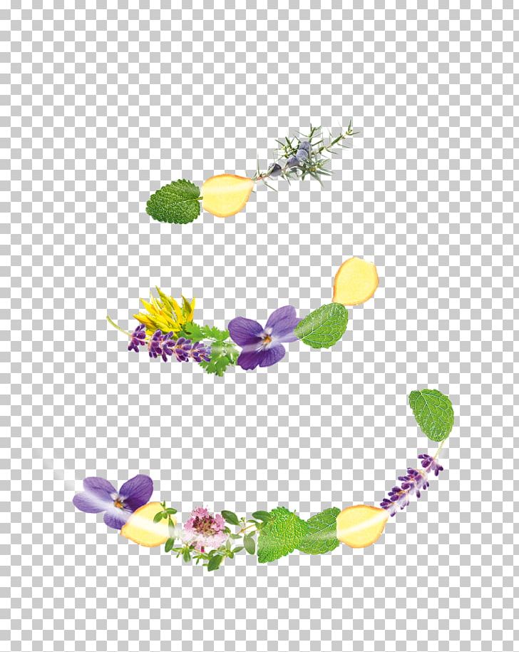 Floral Design Product Graphics Font PNG, Clipart, Flora, Floral Design, Flower, Petal, Violet Free PNG Download