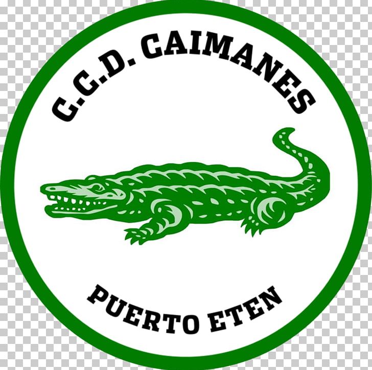Los Caimanes Chiclayo Sport Loreto Unión Huaral Segunda División PNG, Clipart, Area, Artwork, Brand, Caiman, Football Free PNG Download