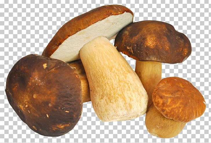 Mushroom 11 Vegetable Edible Mushroom PNG, Clipart, Android, Ascendant, Common Mushroom, Edible Mushroom, Food Free PNG Download