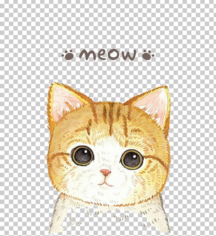 Cat Cuteness Cartoon Moe PNG, Clipart, Animals, Avatar, Carnivoran, Catdog, Cat Like Mammal Free PNG Download
