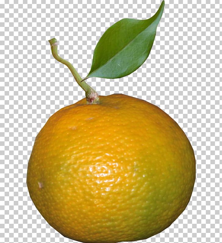 Clementine Mandarin Orange Lemon Tangerine Key Lime PNG, Clipart, Bitter Orange, Calamondin, Chenpi, Citric Acid, Citron Free PNG Download
