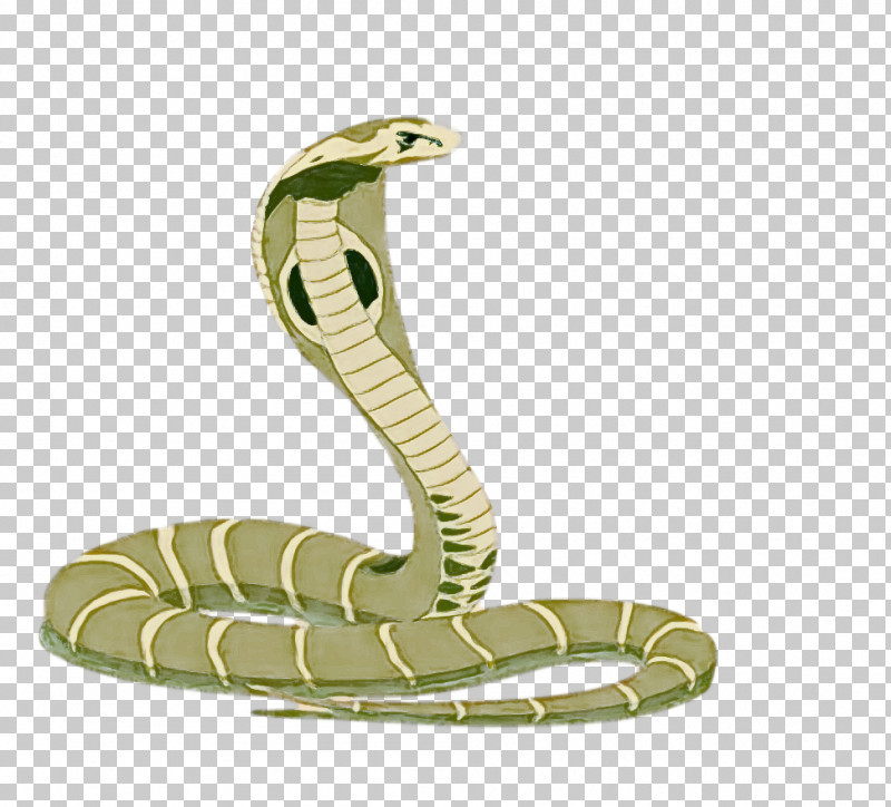 Naga Panchami Naaga Pujaa PNG, Clipart, Cartoon, Cobra, History, Mambas, Naaga Pujaa Free PNG Download