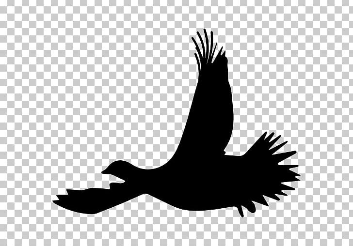 Bird Flight Silhouette Ruffed Grouse PNG, Clipart, Animal, Bird, Bird Flight, Black And White, Computer Icons Free PNG Download