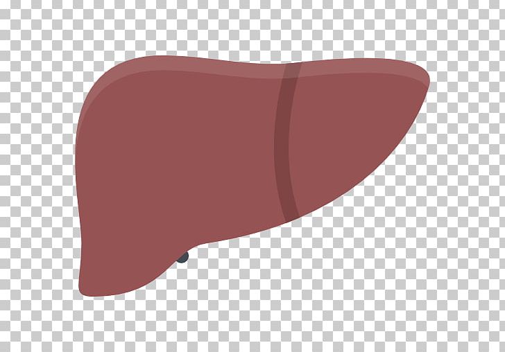 Computer Icons Liver PNG, Clipart, Angle, Computer Icons, Encapsulated Postscript, Liver, Magenta Free PNG Download