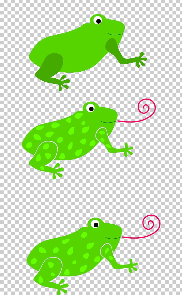 Frog PNG, Clipart, African Bullfrog, Amphibian, Animal Figure, Animals, Area Free PNG Download