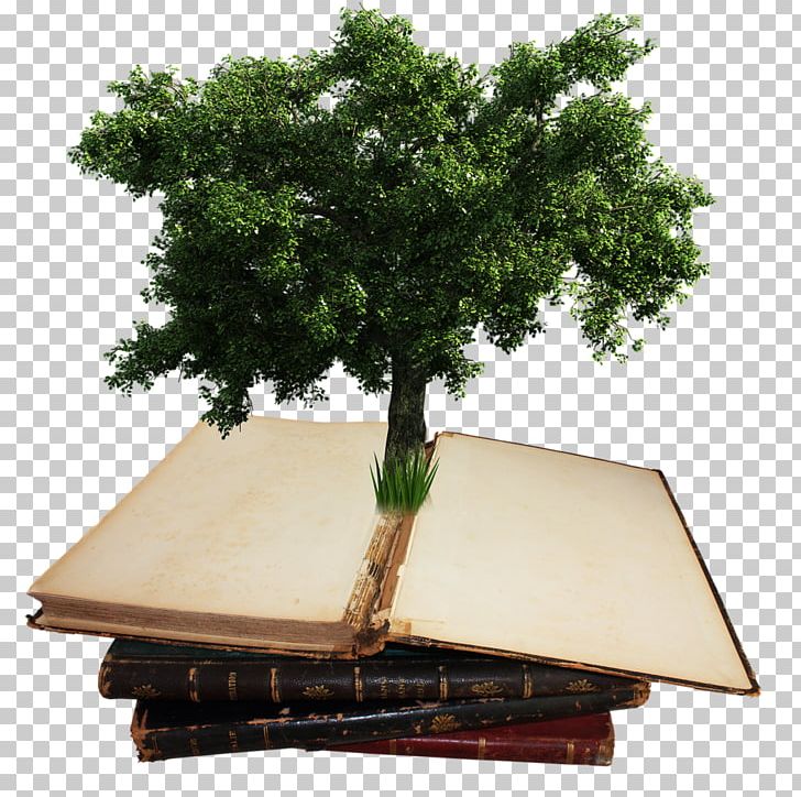 Tree Shrub Two-dimensional Space PNG, Clipart, 2d Computer Graphics, Computeraided Design, Desktop Wallpaper, Dwg, Houseplant Free PNG Download