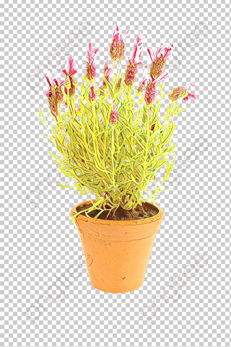 Flower Flowerpot Plant Grass Houseplant PNG, Clipart, Flower, Flowerpot, Grass, Houseplant, Perennial Plant Free PNG Download