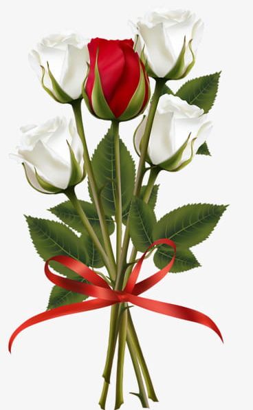 A Bouquet Of Red And White Roses PNG, Clipart, A Clipart, Bouquet, Bouquet Clipart, Celebration, Flower Free PNG Download
