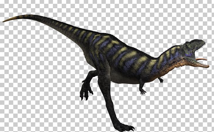 Velociraptor Aucasaurus Tyrannosaurus Apatosaurus Anchisaurus PNG, Clipart,  Free PNG Download