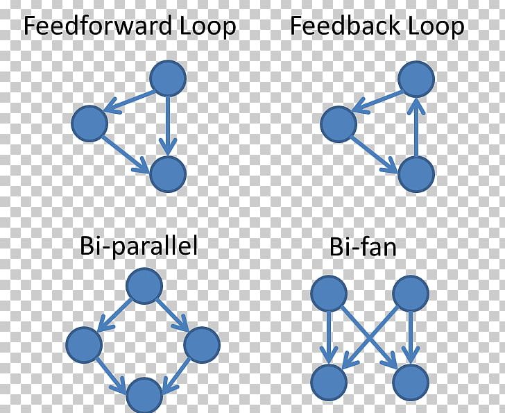Feed Forward Control System Feedback Network Motif Control Theory PNG, Clipart, Angle, Area, Blue, Body Jewelry, Brand Free PNG Download