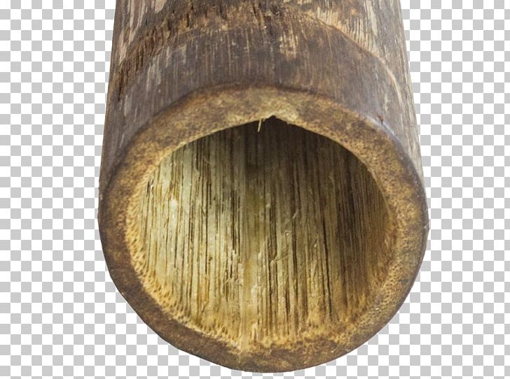 Wood /m/083vt PNG, Clipart, M083vt, Natural Views, Wood Free PNG Download