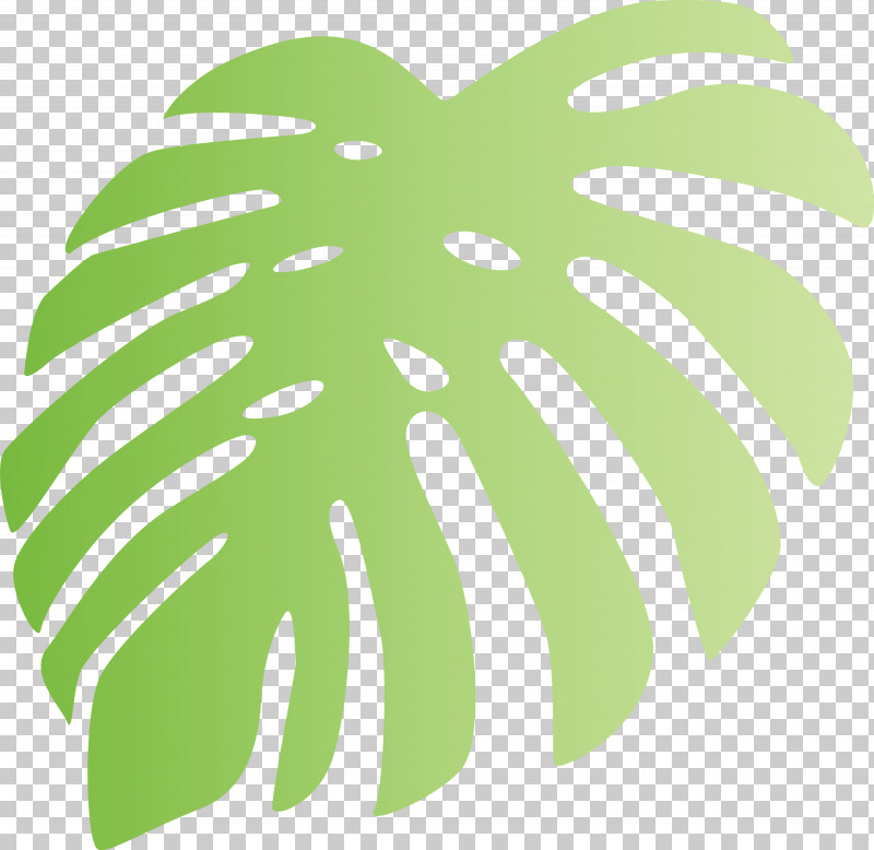 Monstera Tropical Leaf PNG, Clipart, Fruit, Green, Leaf, Line, Mathematics Free PNG Download