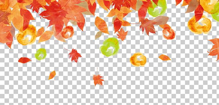 Autumn Leaf Color Autumn Leaf Color Illustration PNG, Clipart, Adobe Illustrator, Autumn, Autumn Leaf Color, Autumn Leaves, Autumn Tree Free PNG Download