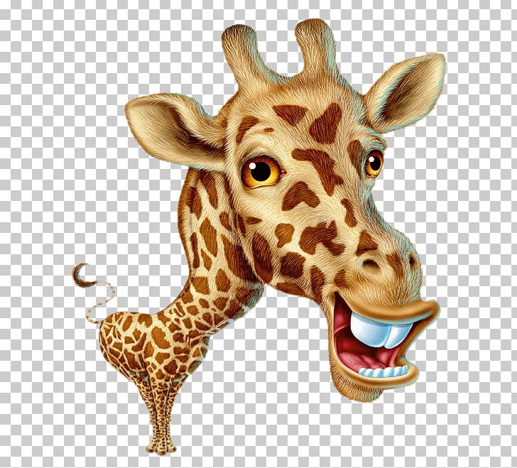 Baby Giraffes Giraffes Can't Dance Animal PNG, Clipart, Animal, Baby, Clip Art, Giraffes Giraffes, Others Free PNG Download