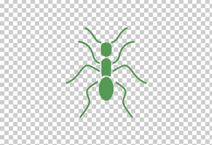 Insect Green Cartoon Pollinator PNG, Clipart, Animals, Animated Cartoon, Ant, Artwork, Cartoon Free PNG Download