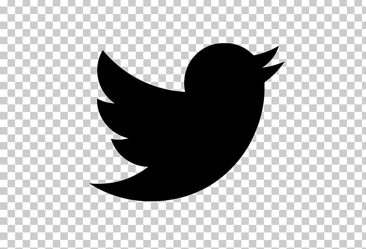 Logo Computer Icons Social Media PNG, Clipart, Advertising, Beak, Behavioral Retargeting, Bird, Black Free PNG Download