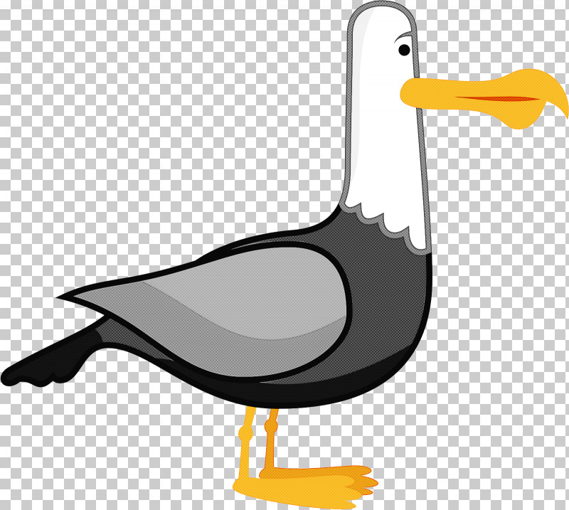 Bird Beak Seabird Cartoon Gull PNG, Clipart, Albatross, Beak, Bird, Cartoon, Ciconiiformes Free PNG Download