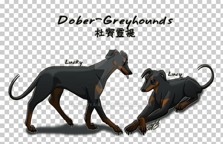 Dog Breed Italian Greyhound Sloughi Manchester Terrier Spanish Greyhound PNG, Clipart, Breed, Carnivoran, Dog, Dog Breed, Dog Like Mammal Free PNG Download