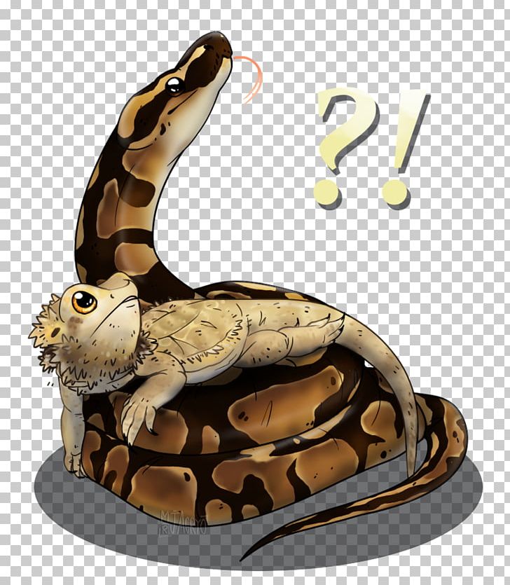 Boa Constrictor Fauna Cartoon Terrestrial Animal PNG, Clipart, Animal, Boa Constrictor, Boas, Cartoon, Fauna Free PNG Download