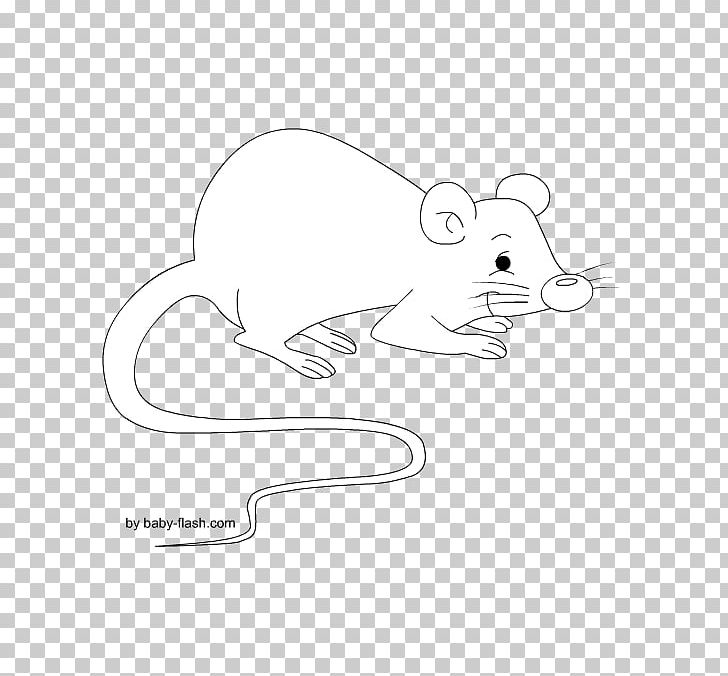 Cat Rat Mouse Rodent Mammal PNG, Clipart, Angle, Animal, Animals, Big Cats, Black Free PNG Download