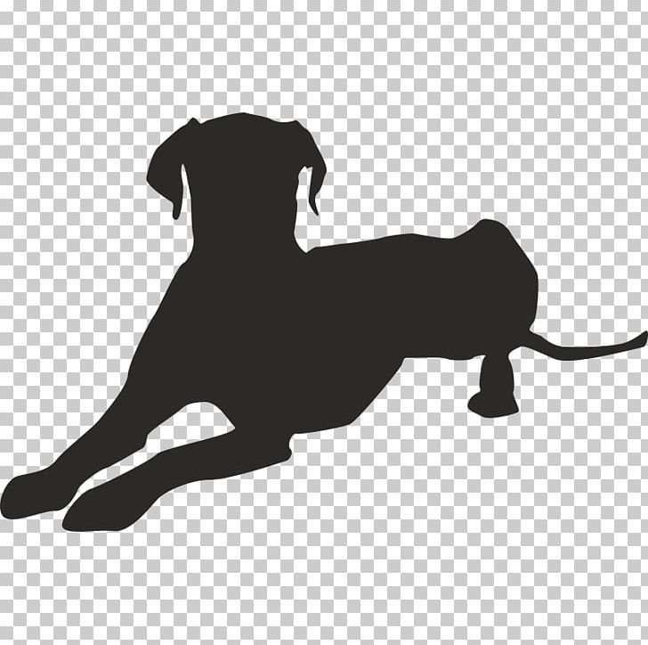 Great Dane Puppy Dog Breed PNG, Clipart, Animals, Black, Black And White, Carnivoran, Dog Free PNG Download
