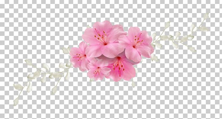 Sweet Sixteen Blue Pink PNG, Clipart, Azalea, Blossom, Blue, Branch, Cherry Blossom Free PNG Download