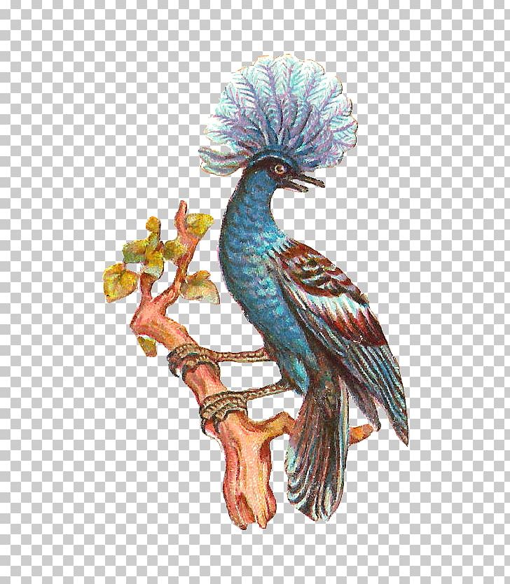 Bird PNG, Clipart, Antique, Art, Beak, Bird, Fauna Free PNG Download