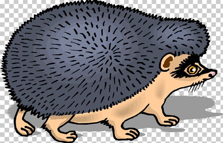 Domesticated Hedgehog Porcupine European Hedgehog Drawing PNG, Clipart, Animal, Carnivoran, Cat Like Mammal, Coloring Book, Common Opossum Free PNG Download