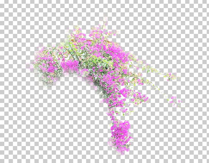 Flower Desktop .net Petal PNG, Clipart, Branch, Com, Computer Wallpaper, Desktop Wallpaper, Drawing Free PNG Download